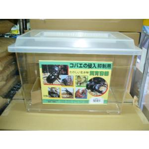 飼育容器大１個