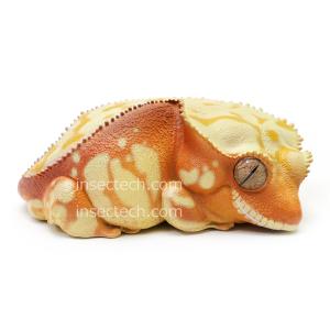 動物の惑星】バロンコダマヘビ フィギュア : インセクテック動物の惑星