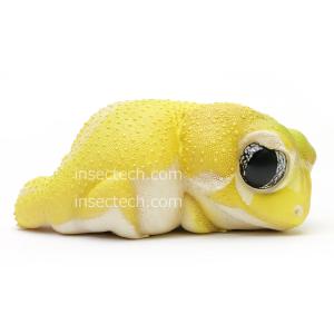 動物の惑星】ボールパイソン（パイボールド）フィギュア