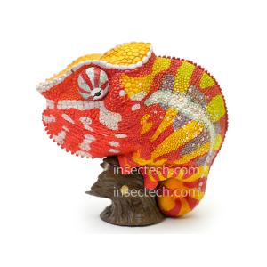 動物の惑星】バロンコダマヘビ フィギュア : インセクテック動物の惑星