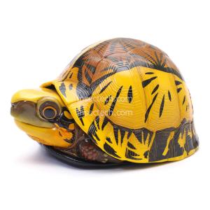 動物の惑星LET'S爬体!】トウブハコガメ フィギュア : インセクテック