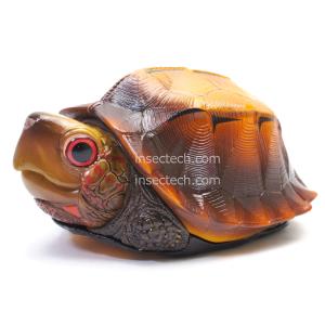 新！【動物の惑星LET'S爬体!】トウブハコガメ フィギュア