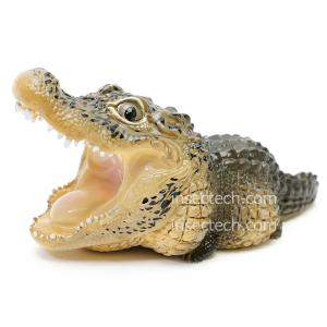 動物の惑星】グリーンイグアナ（ノーマル）フィギュア