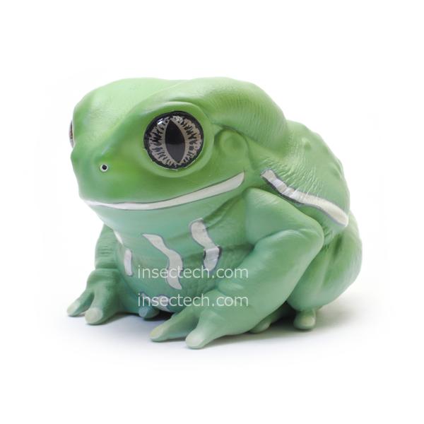 【動物の惑星】ソバージュネコメガエル フィギュア