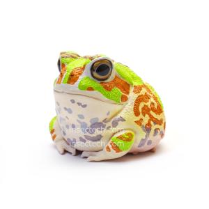 シュライヒ専門店】シュライヒ コブラ 14733 動物フィギュア ワイルド