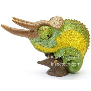 動物の惑星LET'S爬体!】トウブハコガメ フィギュア : インセクテック