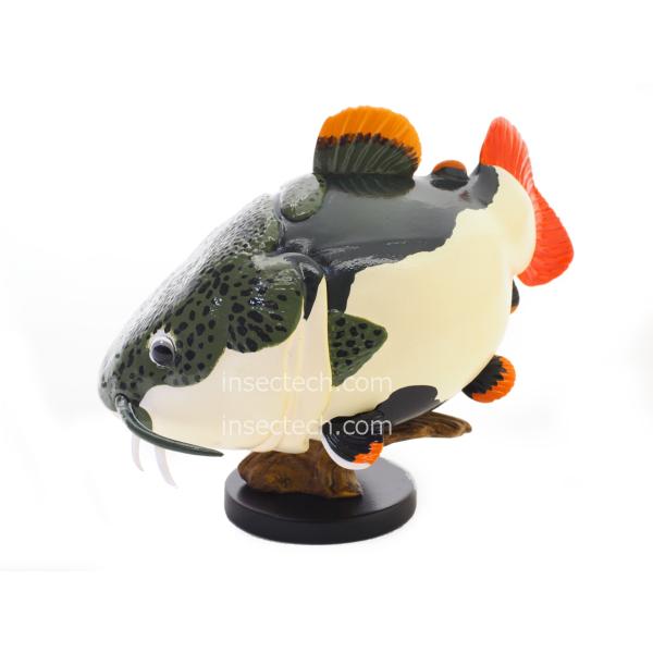 【動物の惑星】レッドテールキャットフィッシュ フィギュア