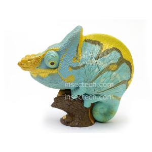 新！【動物の惑星LET'S爬体!】トウブハコガメ フィギュア