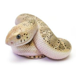 動物の惑星】バロンコダマヘビ フィギュア : インセクテック動物の惑星