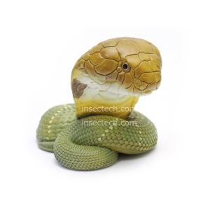 動物の惑星】ボールパイソン（バナナ）フィギュア : インセクテック