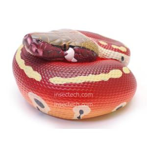 動物の惑星】バロンコダマヘビ フィギュア : インセクテック動物の惑星