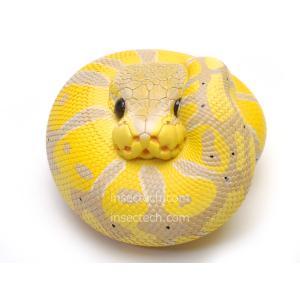 【動物の惑星】★プラチナガー★シークレット! フィギュア Amazon.co.jp: 動物の惑星 アリゲーターガー&アロワナ