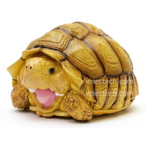動物の惑星】チュウベイカミツキガメ フィギュア : インセクテック動物