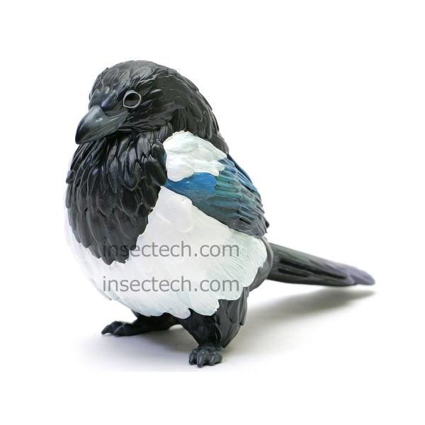 【動物の惑星】カササギ フィギュア