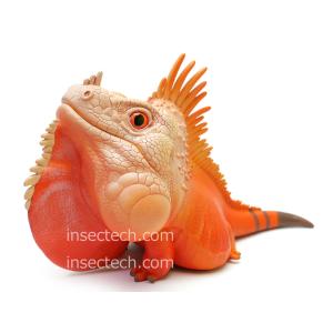 動物の惑星】「シークレット」プラチナ・アリゲーターガー フィギュア