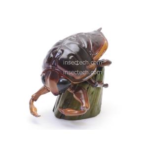 動物の惑星】「シークレット」アカオクロオウム♂ フィギュア