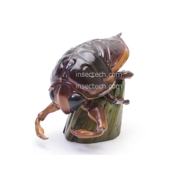 【動物の惑星】タガメ フィギュア*注意事項をを読んで了承しました