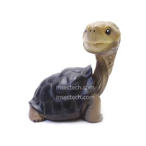 新！【動物の惑星LET'S爬体!】トウブハコガメ フィギュア