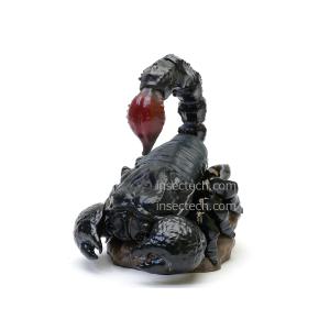 動物の惑星】「シークレット」アカオクロオウム♂ フィギュア