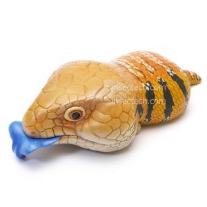 【動物の惑星】LET’S爬体！　トウブハコガメ 新！【動物の惑星LET'S爬体!】トウブハコガメ フィギュア