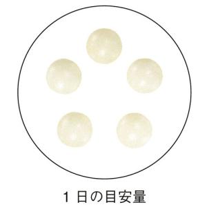 筋力対策サプリ(HMB) 機能性表示食品 38...の詳細画像1