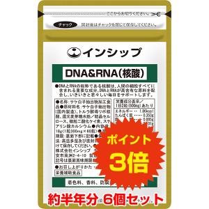 DNA＆RNA 核酸 6個セット / 6ヵ月分 / 送料無料 / ポイント3倍｜inship