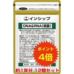 DNA＆RNA 核酸 12個セット / 12ヵ月分 / 送料無料 / ポイント4倍｜inship