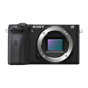 SONY ミラーレス一眼 α6600 ボディ ブラック ILCE-6600 ソニー｜insight-shop