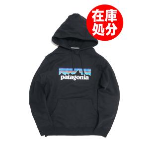 patagonia PATAGONIA パタゴニア Micro D PULLOVER FLEECE フリース