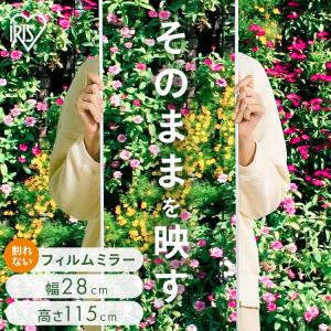 IRIS OHYAMA（アイリスオーヤマ） 鏡 壁掛け 姿見 割れない鏡 28×90