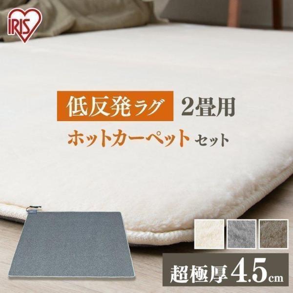 ラグ カーペット ラグマット おしゃれ 北欧 2畳 厚手 ホットカーペット 低反発 極厚 ホットマッ...