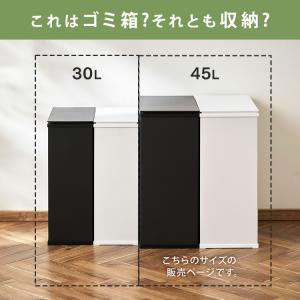 ゴミ箱 ごみ箱 おしゃれ 北欧 45L 45リ...の詳細画像1