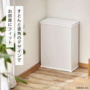 ゴミ箱 ごみ箱 おしゃれ 北欧 45L 45リ...の詳細画像3