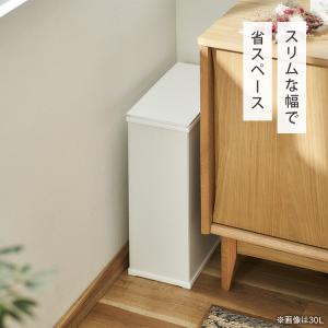 ゴミ箱 ごみ箱 おしゃれ 北欧 45L 45リ...の詳細画像4
