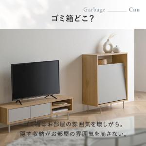 ゴミ箱 おしゃれ 分別 ごみ箱 北欧 見えない...の詳細画像4