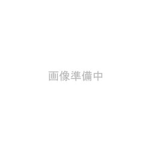 お惣菜 レンジ レトルト レンジアップ 牛すじ大根 アイリスオーヤマ