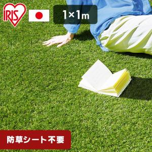 人工芝 リアル人工芝 ロール 庭 ガーデニング ...の商品画像