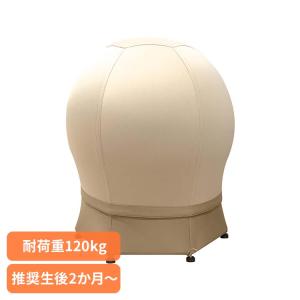ねんねチェア2 バランスボール 出産祝い 育児便...の商品画像
