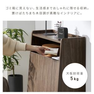 ゴミ箱 おしゃれ 分別 キッチン アイリスオー...の詳細画像4