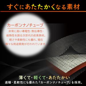 電気毛布 毛布 ひざ掛け ブランケット 洗える...の詳細画像2