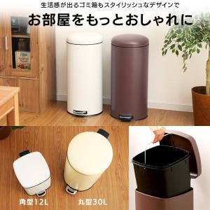 ゴミ箱 おしゃれ 30L スリム ごみ箱 30...の詳細画像2