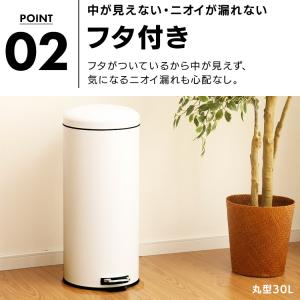 ゴミ箱 おしゃれ 30L スリム ごみ箱 30...の詳細画像5