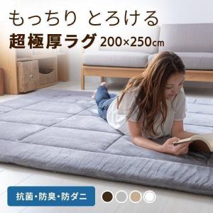 ラグ 3畳 200×250 カーペット ラグマット 厚手 極厚 絨毯 北欧 おしゃれ 抗菌 防臭 防ダニ 防音 オールシーズン ホットカーペット対応 *