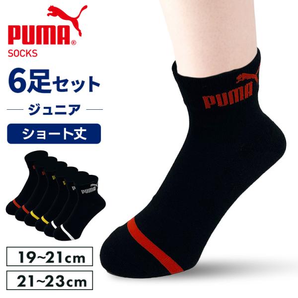 プーマ スポーツブランド ソックス PUMA6足セット 4293719 PUMA (D)(B)(メー...