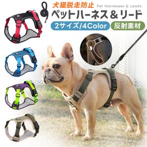 ドッグアンカー 犬用アンカー ドッグポール 係留 埋め込み ペグ