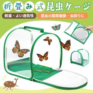 折り畳み虫かご 昆虫ケージ 昆虫飼育箱 虫かご ...の商品画像