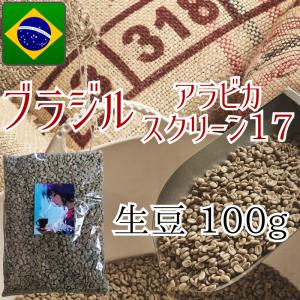 コーヒー生豆 ブラジル アラビカ スクリーン17 中玉 100g 焙煎 珈琲の商品画像