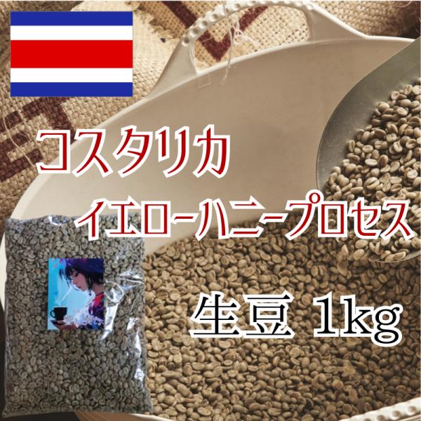 コーヒー生豆 コスタリカ ハニープロセス 1kg 焙煎 珈琲
