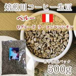 コーヒー生豆 ゲイシャ エチオピア グジプレミアム 1kg 焙煎 珈琲 : 焙