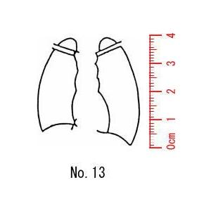 人体図 医療用 カルテ 【肺 小】13/スタンプ/ゴム印/既製品 : 印章